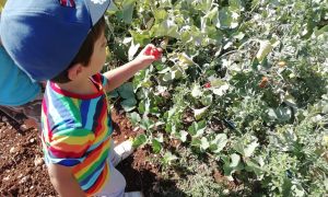 IMG_20200728_092333